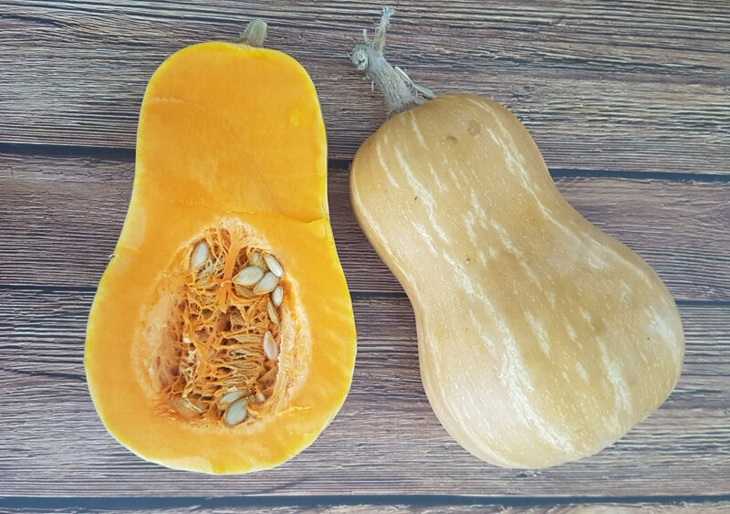 Carbassa cacauet - C.moschata