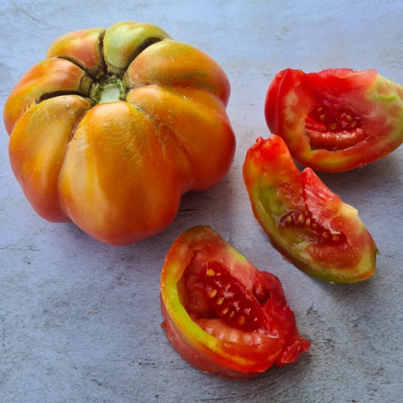 Tomàquet buit Montserrat gros