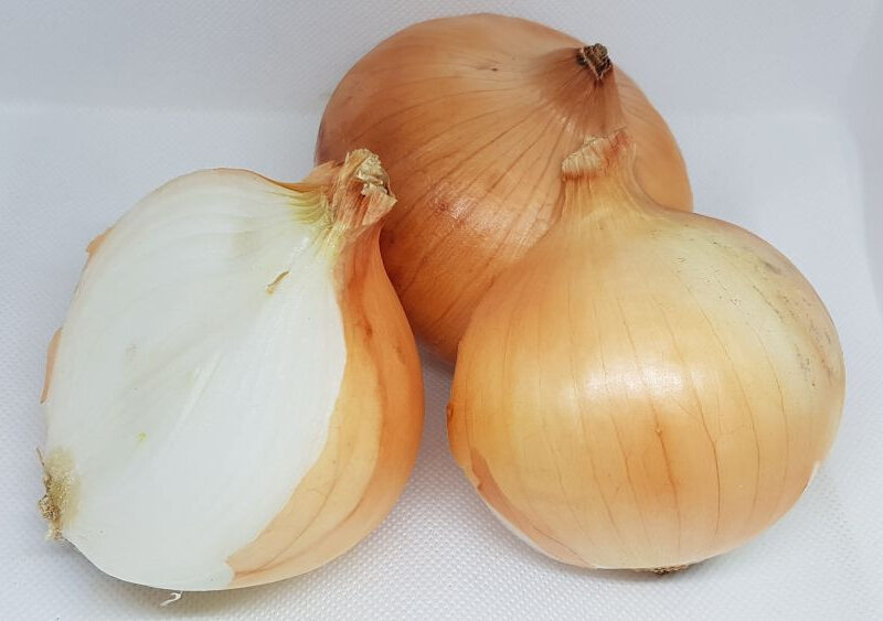 Ceba de guardar de Gironella