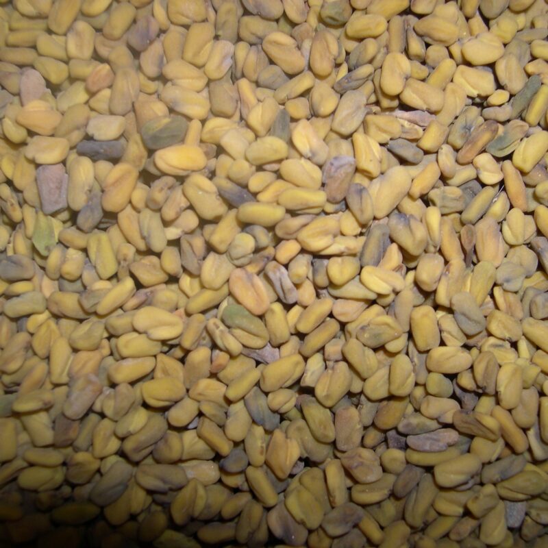 Fenigrec. Varietat local.