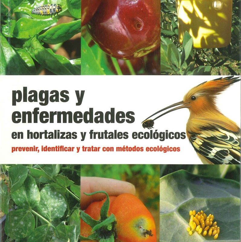 Plagas y enfermedades en hortalizas y frutales ecológicos