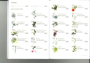 El llibre de les plantes comestibles