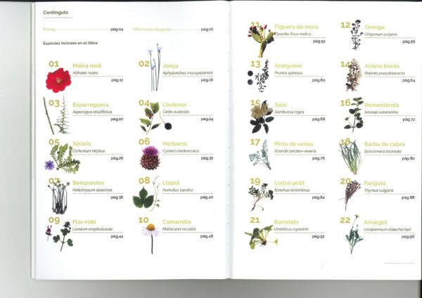 El llibre de les plantes silvestres comestibles 03