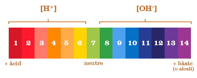 redox-ph