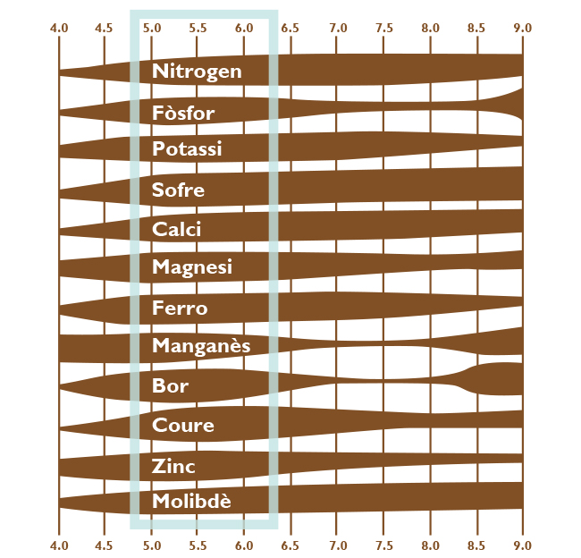 el redox i l'assimilació de nutrients