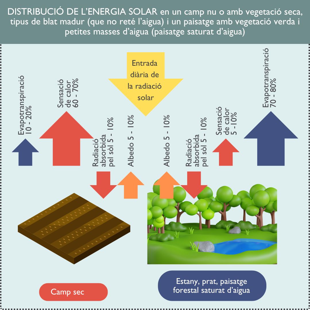 infografia comparativa de la distribució de l'energia solar en un camp nu i en una zona arbrada i amb estany