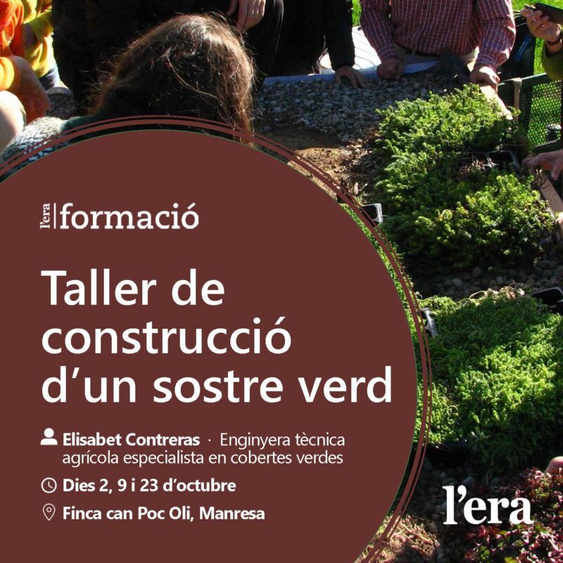 cartell taller de construcció d'un sostre verd