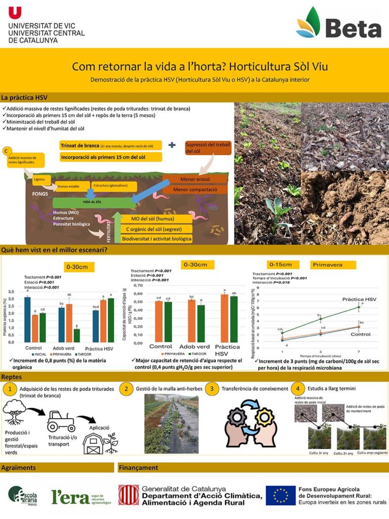 Infografia de les conclusions i de resultats del projecte Demostració de la pràctica de l’horta sobre sòl viu a la Catalunya interior