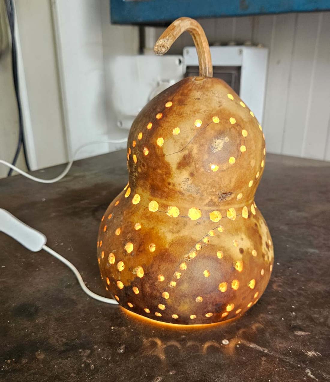 Llavors de carbassa de vi - Imatge 3