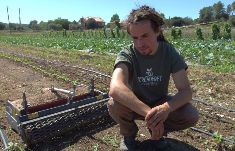 Adrià Solé a Ecomercaderet