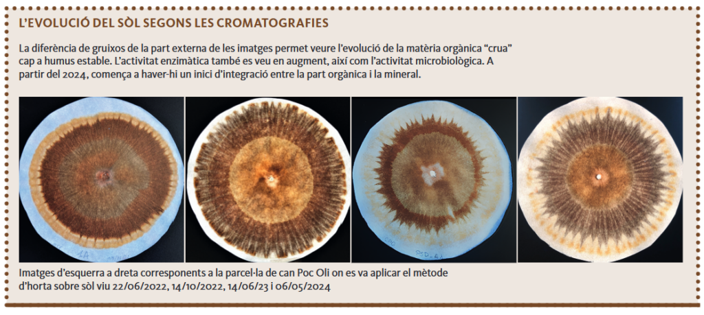 Evolució del sòl a partir d'anàlisis cromatogràfiques