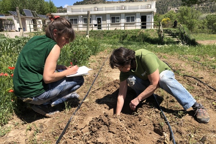 assajos d'horta sobre sòl viu a l'Escola Agrària de Manresa