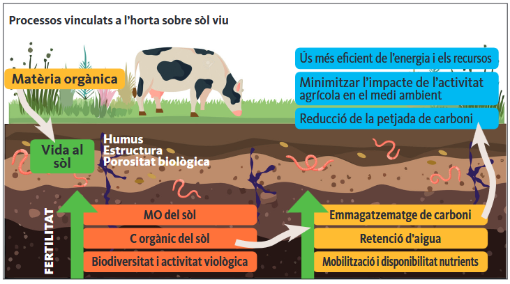 Infografia del Centre Tecnològic BETA-UVIC-UCC