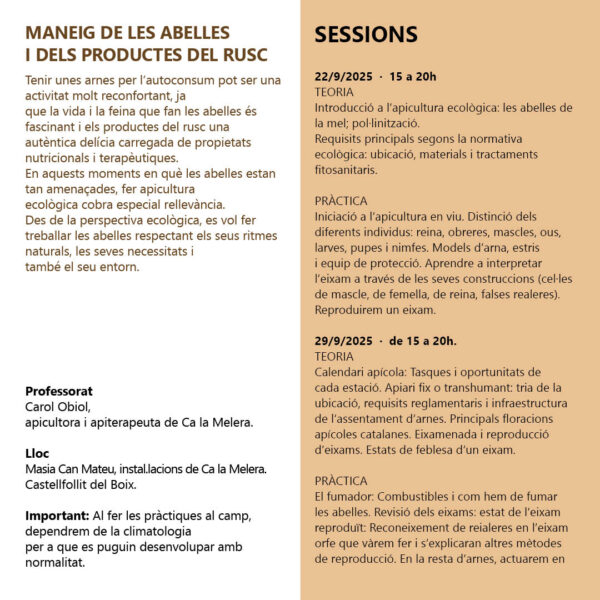 Maneig ecològic de les abelles i dels productes del rusc - Imatge 3