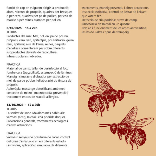 Maneig ecològic de les abelles i dels productes del rusc - Imatge 4