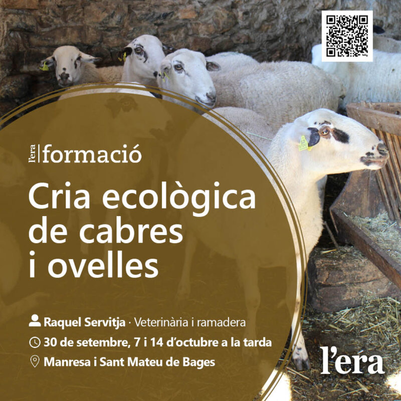 Cria ecològica de cabres i ovelles