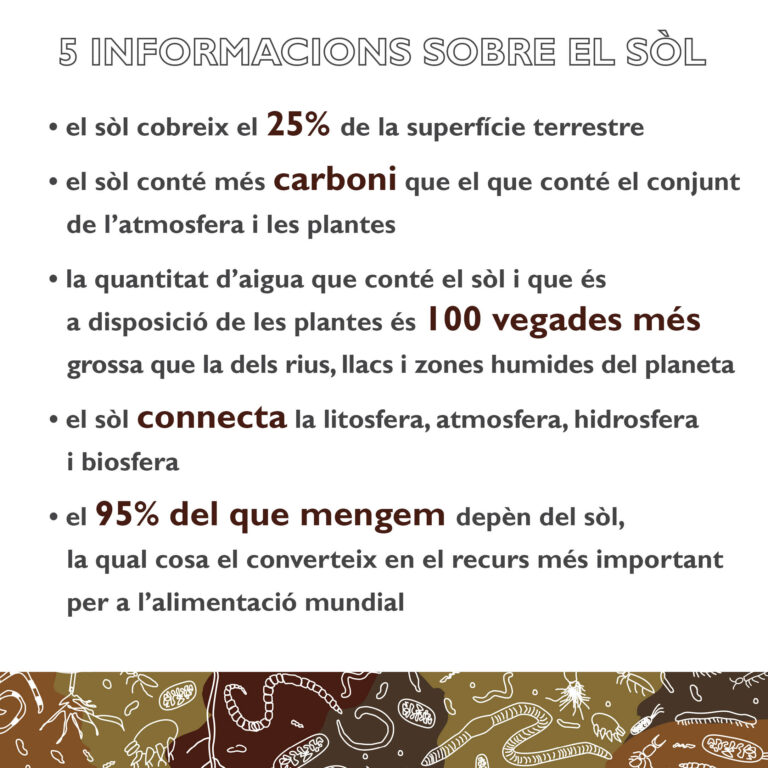 Informacions sobre el sòl
