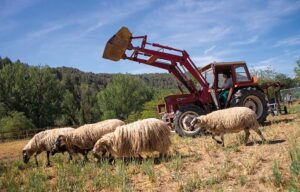 agroecologia