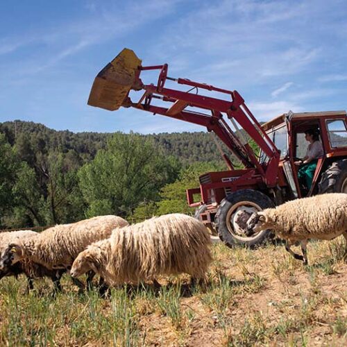 agroecologia