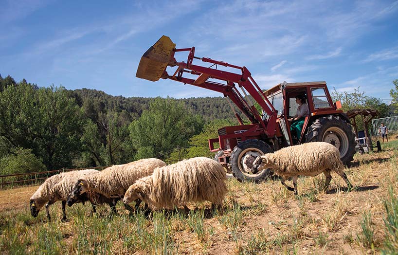 agroecologia