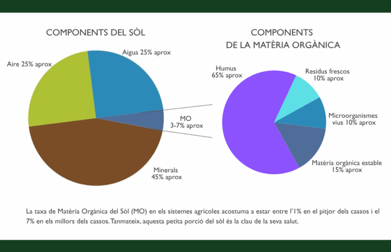 gràfica dels components del sòl i dels components de la matèria orgànica