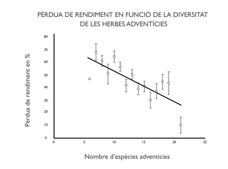 pèrdua de rendiment del cultiu segons diversitat d'adventícies