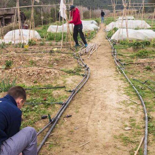 alumnat de l'Escola Agrària de Manresa fent pràctiques a la finca can Poc Oli
