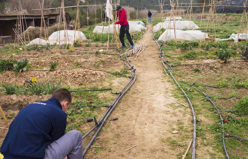 alumnat de l'Escola Agrària de Manresa fent pràctiques a la finca can Poc Oli