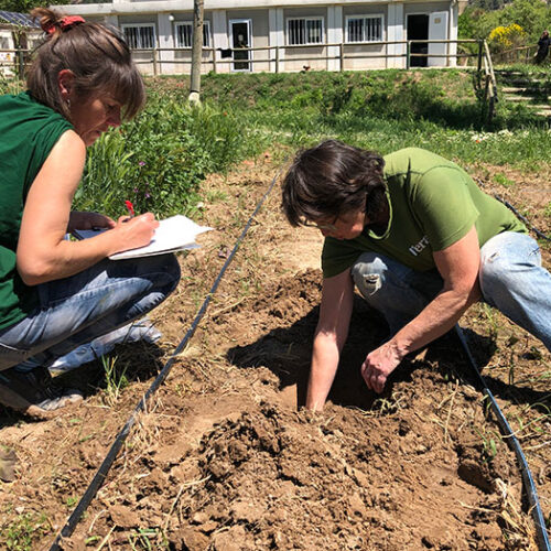 seacure, un projecte per reduir la contaminació marina a partir d'una bona gestió agrària