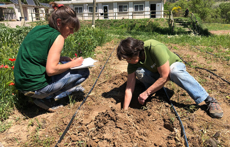 seacure, un projecte per reduir la contaminació marina a partir d'una bona gestió agrària
