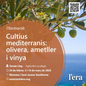 curs cultiu d'olivera, ametller i vinya