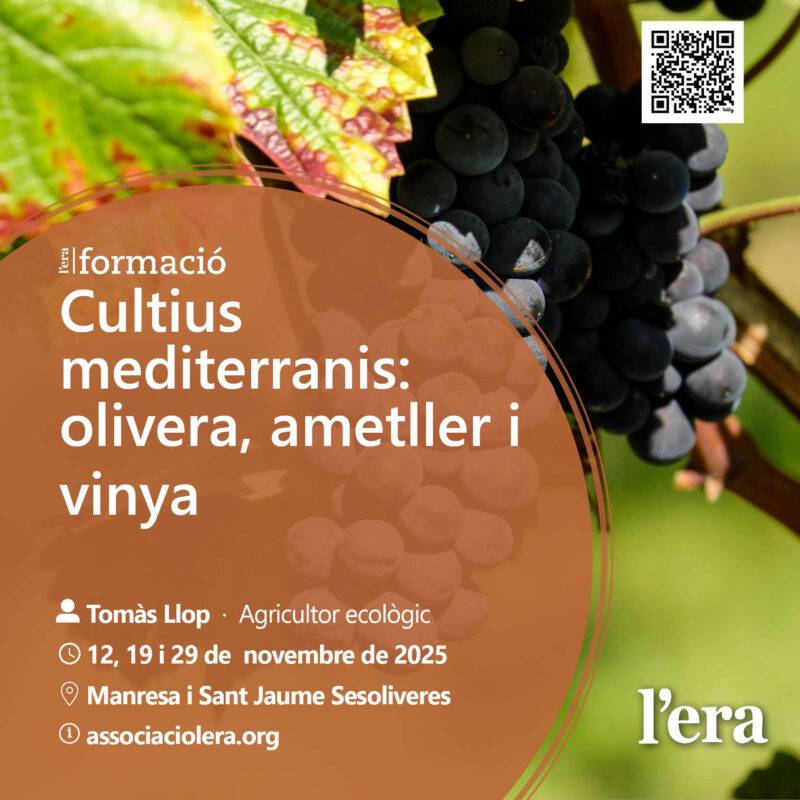 Cultius mediterranis: olivera, ametller i vinya