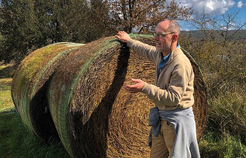Dirk Madriles - La Ginebreda