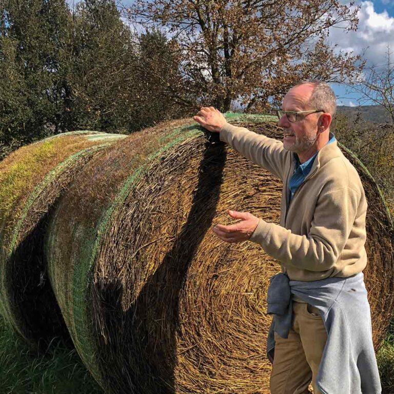 Dirk Madriles - La Ginebreda.