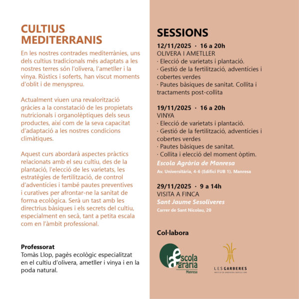 Cultius mediterranis: olivera, ametller i vinya - Imagen 2