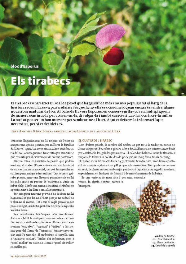 Agrocultura núm. 101 - Imatge 6