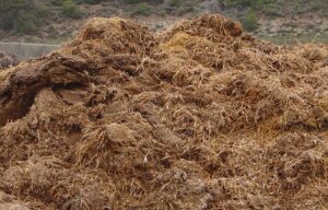 fems compost