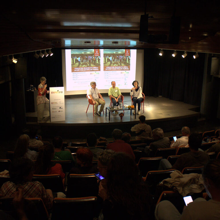 Festival Revive, a Manresa