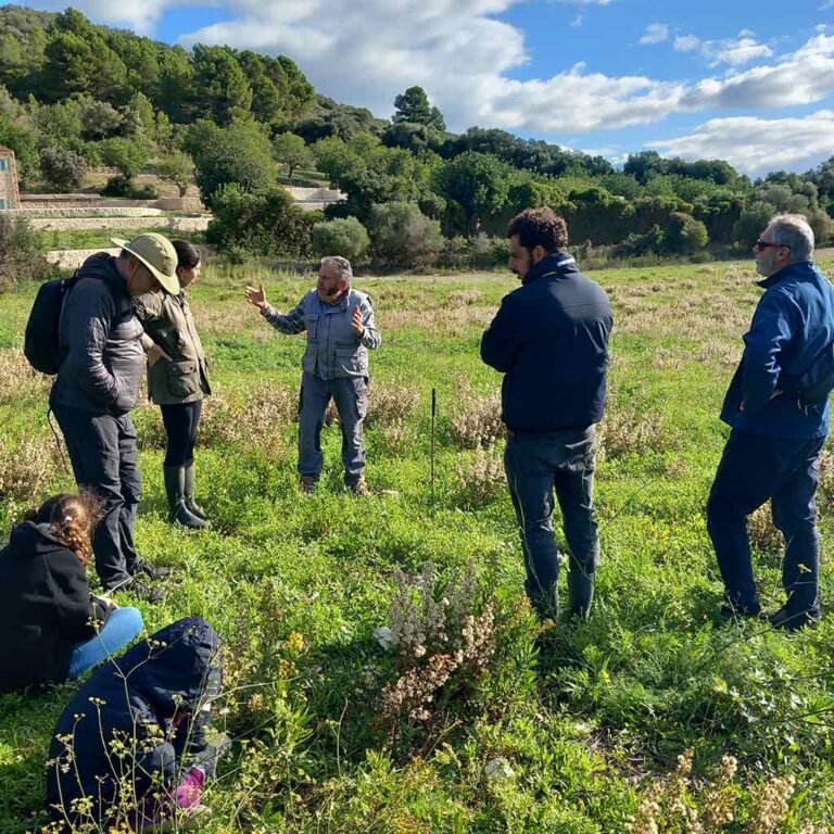 congrés ramaderia regenerativa Mallorca 2025