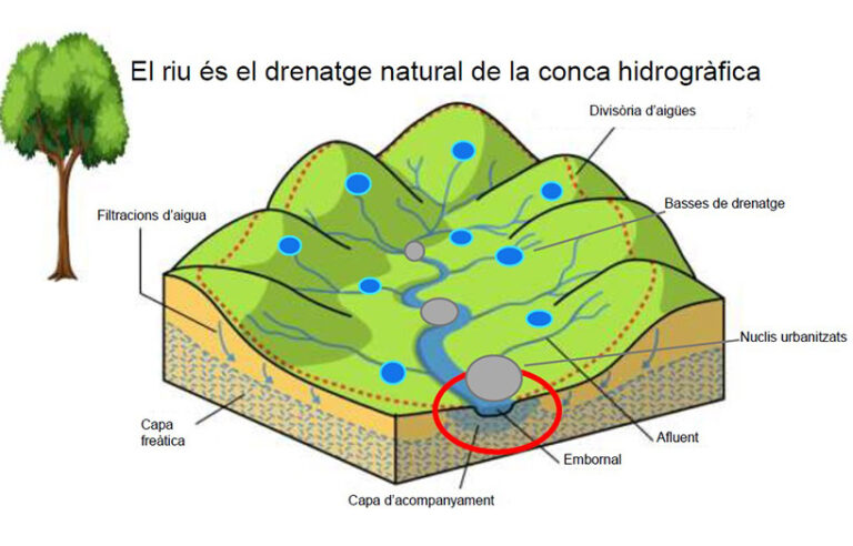 conca hidrogràfica prevenció d'inundacions