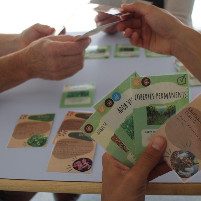 joc de cartes sòl viu premi escola, agricultura, alimentació ecològica