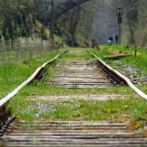 transició ecosocial