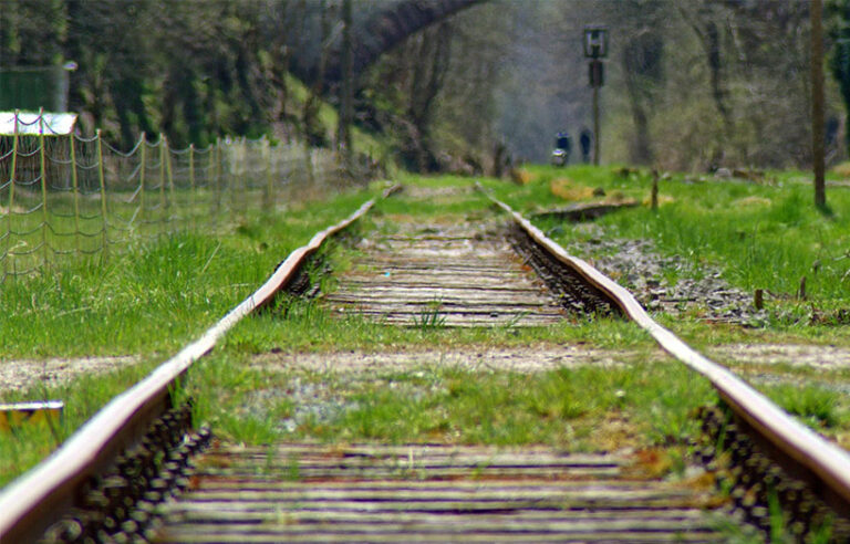 transició ecosocial