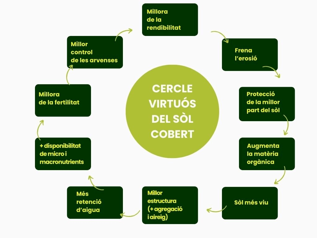 infografia sòl cobert
