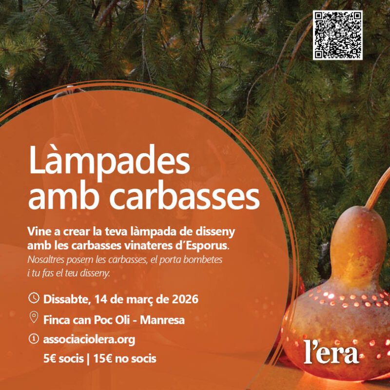 Taller de làmpades amb carbasses