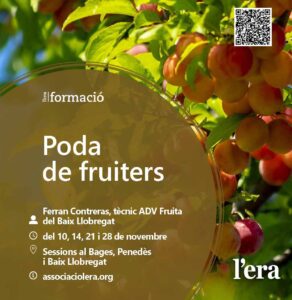 CURS DE FRUITERS
