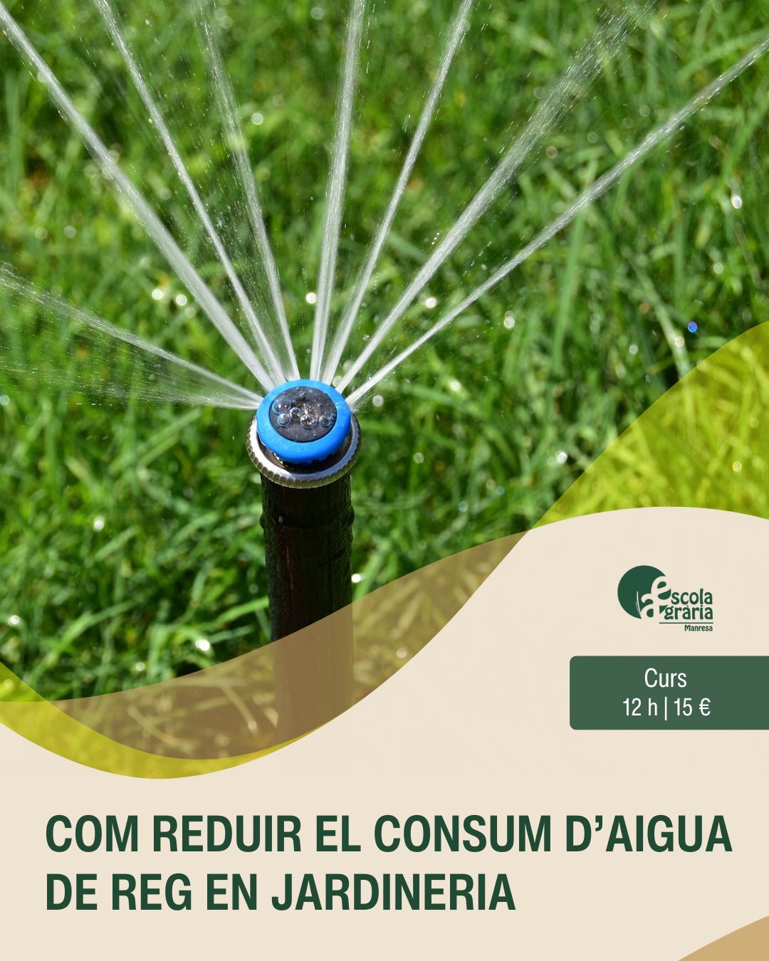 cartell curs reg en jardineria