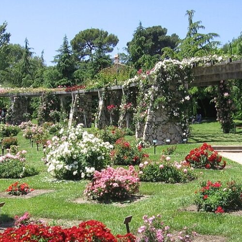 Parc Cervantes. Autor: Canaan.