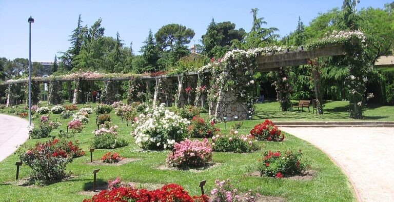 Parc Cervantes. Autor: Canaan.