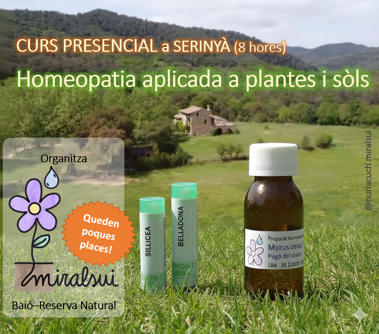 Cartell curs Homeopatia aplicada a plantes i sòls